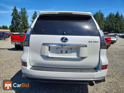 2023 LEXUS GX 460 LUXURY, фото 6