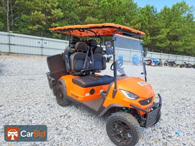 2024 PULSE GOLF CART‌, фото 1