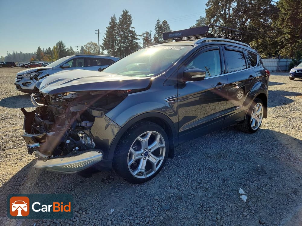 2019 FORD ESCAPE TITANIUM, фото 1