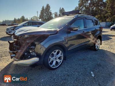 2019 FORD ESCAPE TITANIUM, фото 1