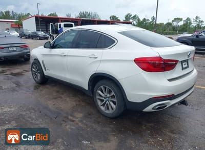 2018 BMW X6 SDRIVE35I, фото 3