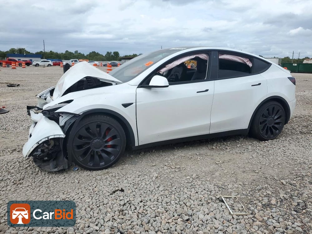 2023 TESLA MODEL Y, фото 1
