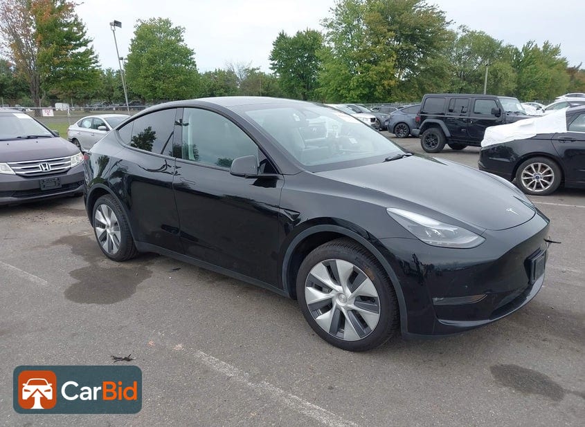 2023 TESLA MODEL Y AWD/LONG RANGE, фото 1