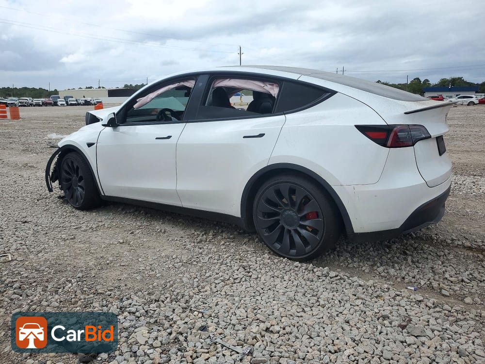 2023 TESLA MODEL Y, фото 2