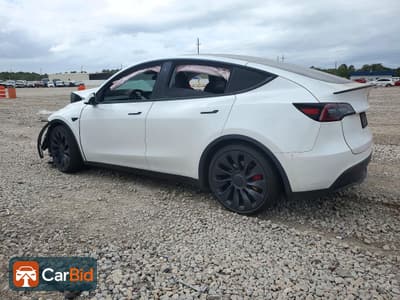 2023 TESLA MODEL Y, фото 2
