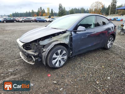 2022 TESLA MODEL Y, photo 1