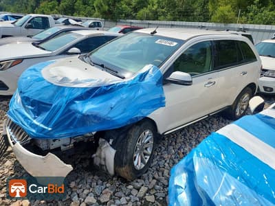2015 LINCOLN MKX‌, фото 1