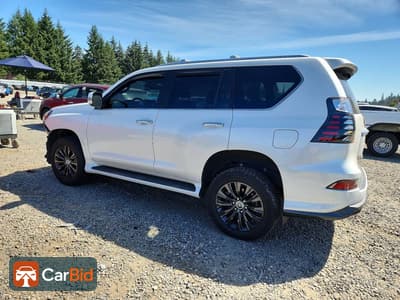 2023 LEXUS GX 460 LUXURY, фото 2