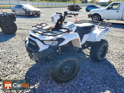 2025 KAWASAKI KVF450 A, фото 2